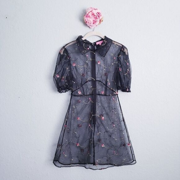 Sugar Thrillz Dresses & Skirts - Sugar Thrillz Homemade With Love Organza Mini Embroidered Dress